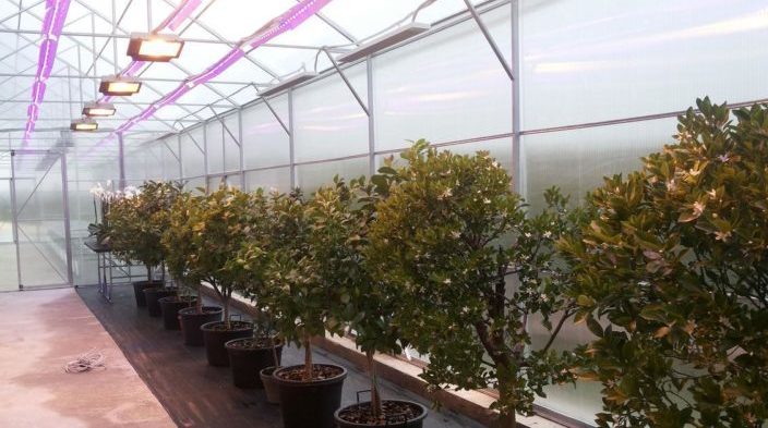 ลักษณะและรุ่นของหลอดอินฟราเรด