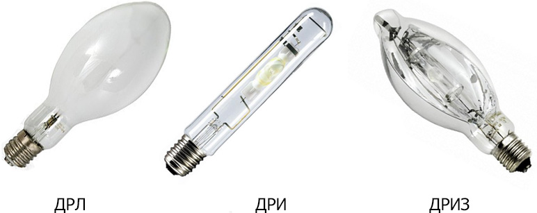 ตัวย่อ DNAT หมายถึงอะไร