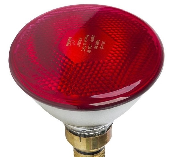 ลักษณะและรุ่นของหลอดอินฟราเรด