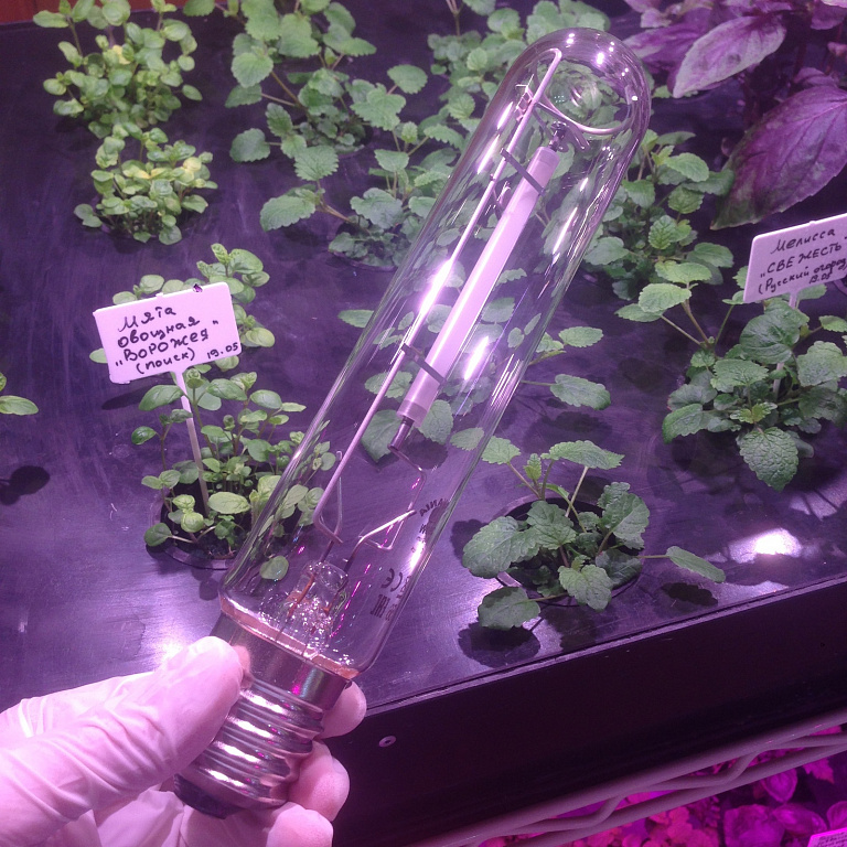 การใช้ธาตุโซเดียม