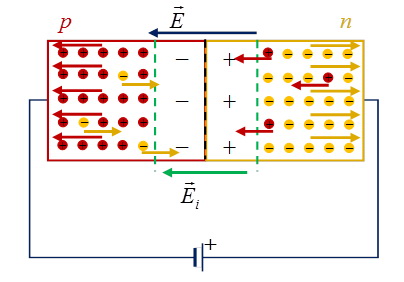 Mi az a LED - a jellemzők és típusok részletes leírása