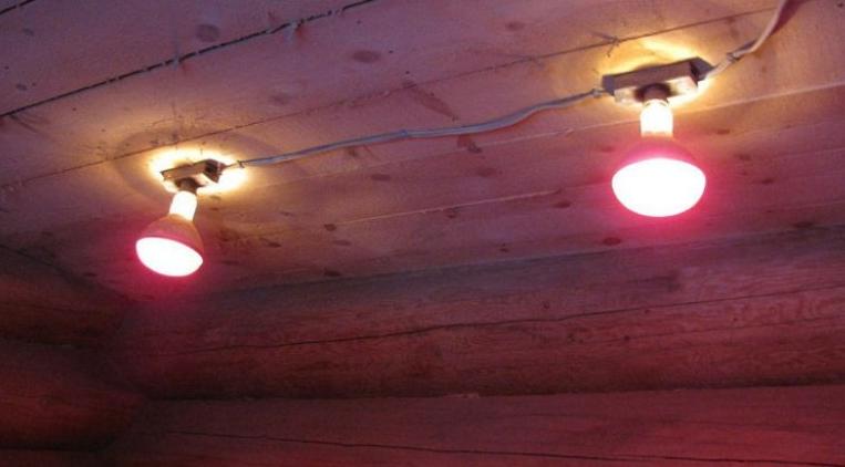 Memanaskan reban ayam pada musim sejuk dengan lampu inframerah