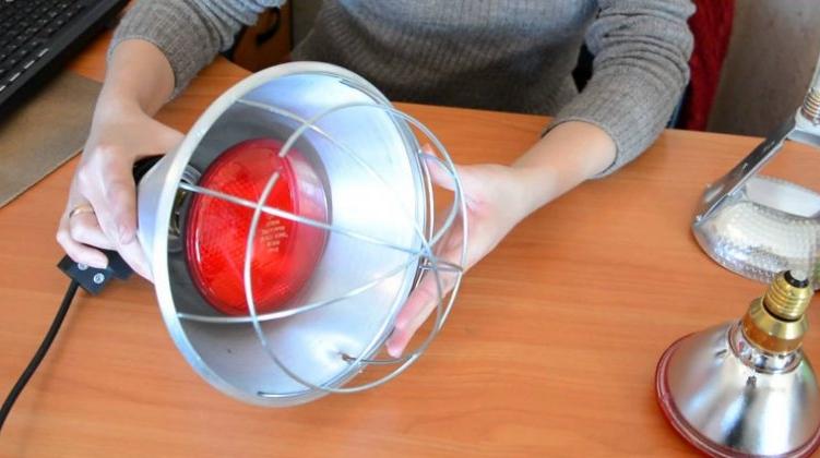 冬天用紅外線燈加熱雞舍