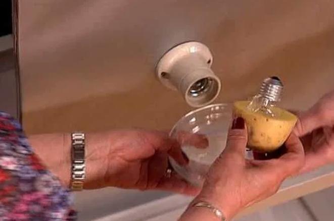 มันฝรั่งบิด