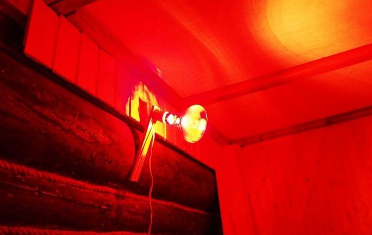 Memanaskan reban ayam pada musim sejuk dengan lampu inframerah