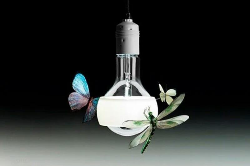 Szczegółowy opis odmian żyrandoli