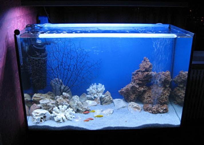 對於一個小容器,幾塊就足夠了