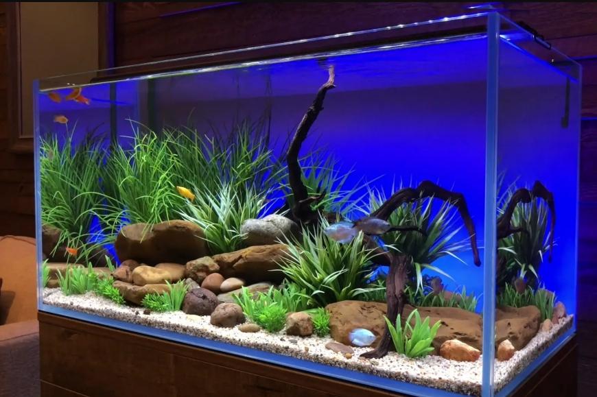 gibt das homogenste Licht über das gesamte Volumen.