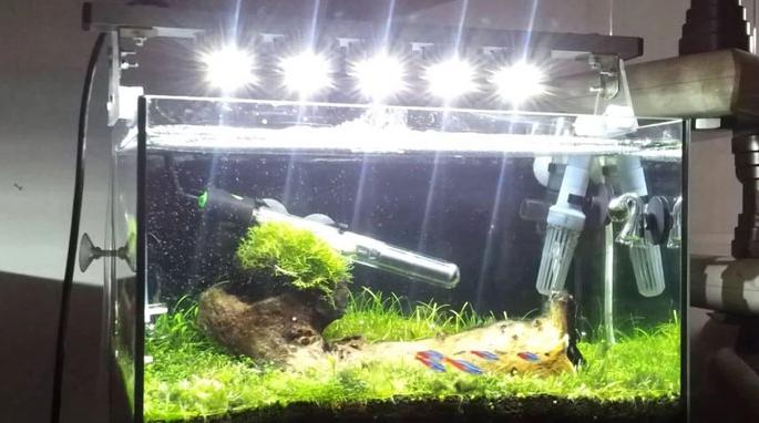 Lampen anstelle von Standardlampen, die Hauptsache ist, Optionen mit einer geeigneten Patrone zu wählen.