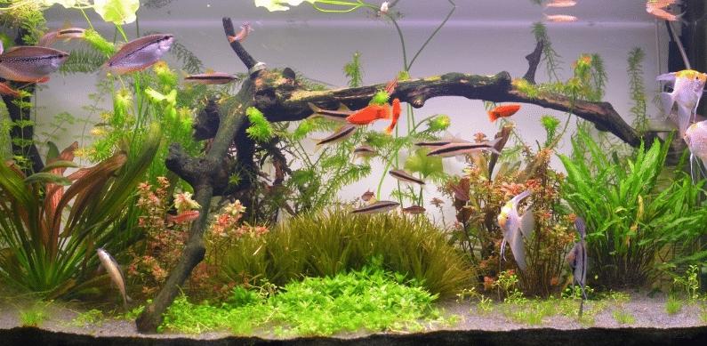 照明為居民提供自然、舒適的照明。