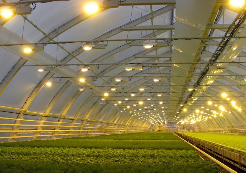 живачни лампи