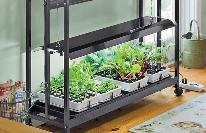 Kecerahan pencahayaan dipilih bergantung pada lokasi rak