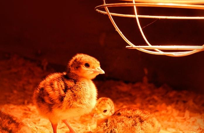 поддържане на идеален микроклимат