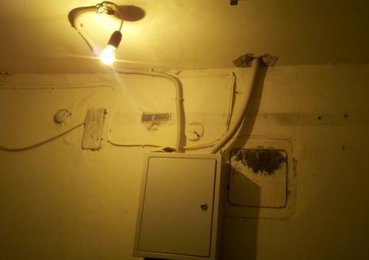 Крушка без сянка