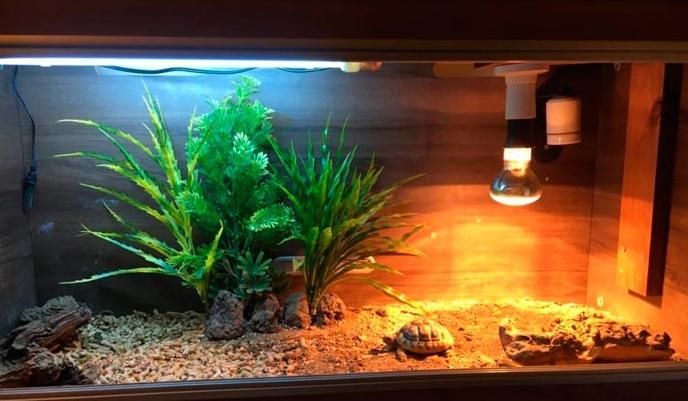 Лампата не може да бъде заменена