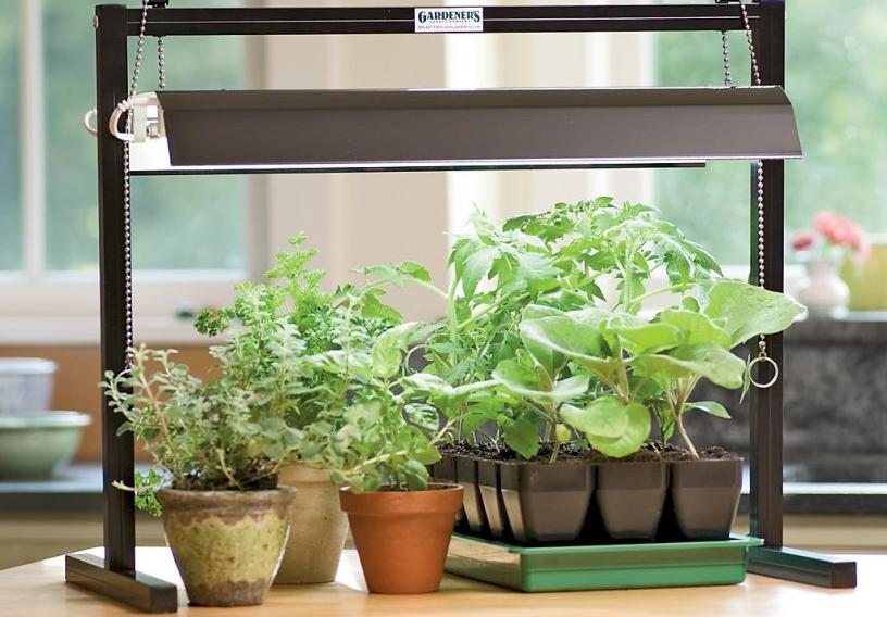 Kuasa mentol lampu secara langsung bergantung pada ketinggian