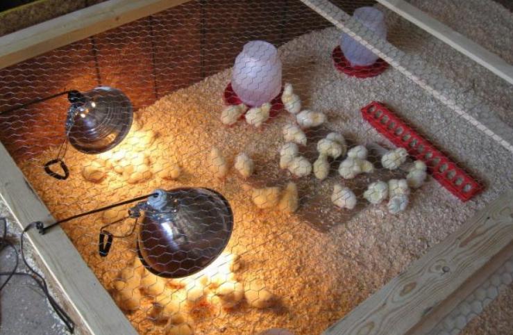 Отопление с лампи