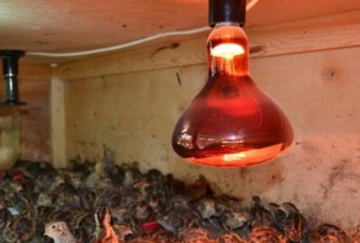 червена лампа