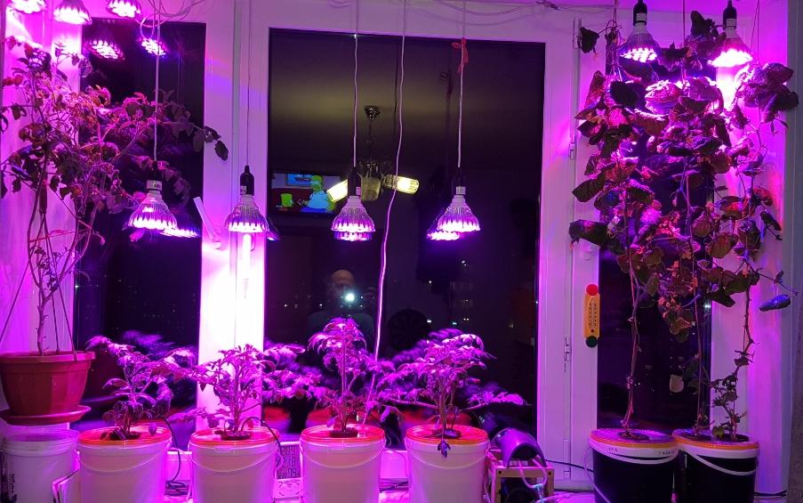 Az ablak további világítása lehetővé teszi a nappali órák hosszának növelését