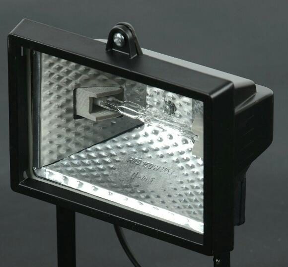 กฎการเลือกไฟฉาย