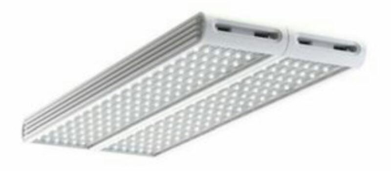 กฎการเลือกไฟฉาย