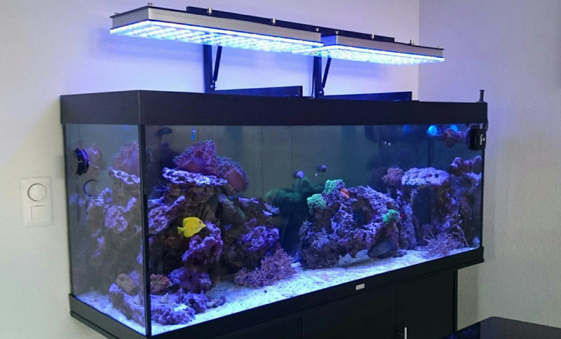 El uso de paneles LED con difusores.