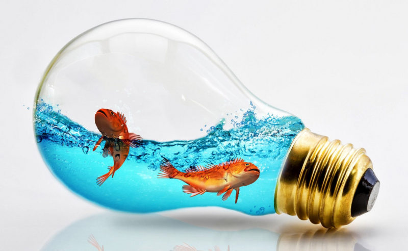 Milyen világítás legyen az akváriumban