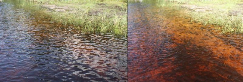 Apakah polarisasi cahaya dan aplikasi praktikalnya