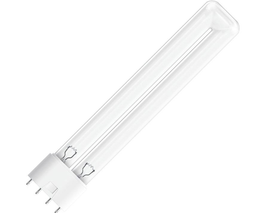 Kokie yra elektros lempučių pagrindų tipai