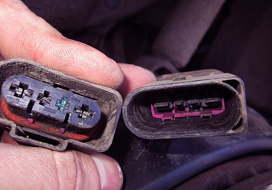 كيفية فحص الزينون