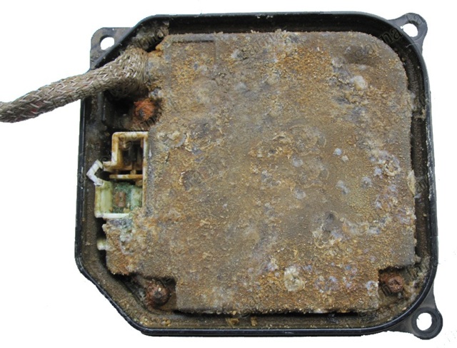 كيفية فحص الزينون